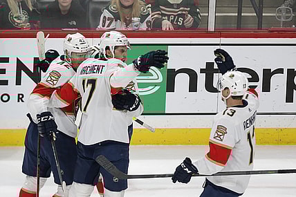 Florida panthers