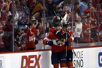 Florida panthers