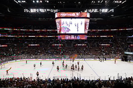 Florida panthers