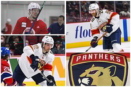 Florida panthers