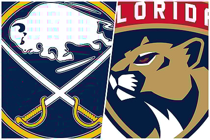 Florida panthers