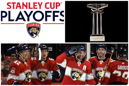 Florida panthers
