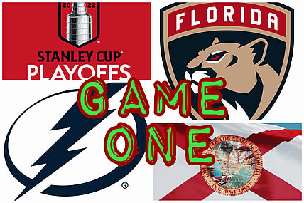 Florida panthers