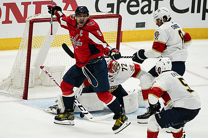 Florida panthers