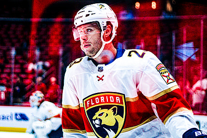 Florida panthers