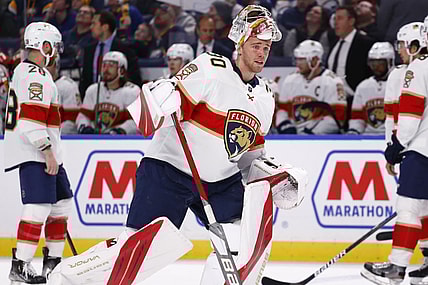 Florida panthers