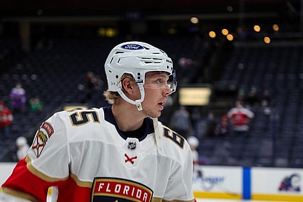 Florida panthers