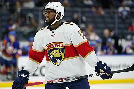 Florida Panthers Duclair