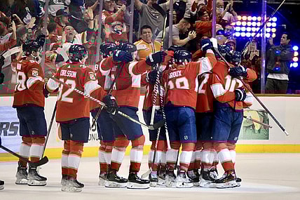 Florida panthers
