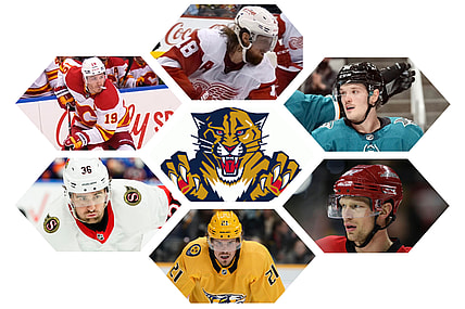 Florida panthers