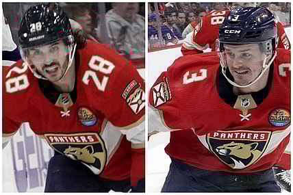 Florida panthers