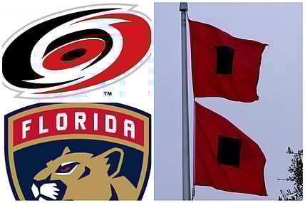 Florida panthers