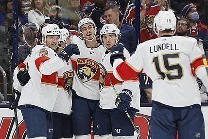 Florida panthers