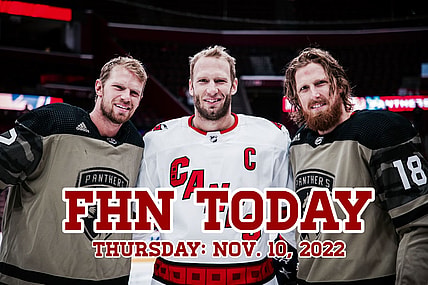 Florida panthers