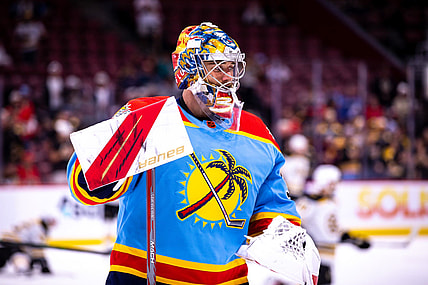 Florida panthers