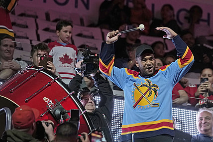 Florida panthers