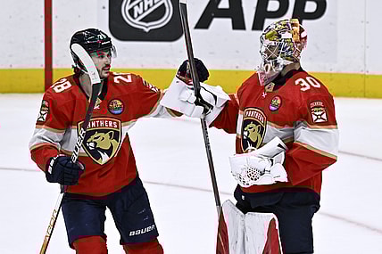 Florida panthers