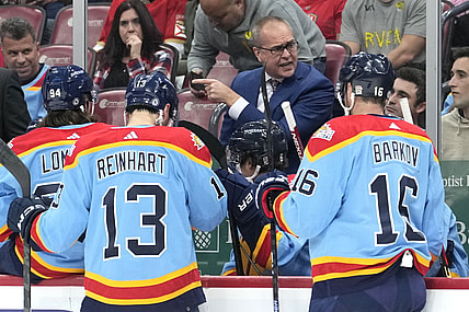 Florida panthers