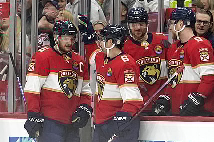 Florida panthers