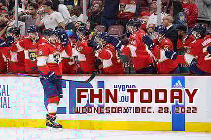 Florida panthers