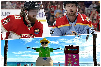 Florida panthers