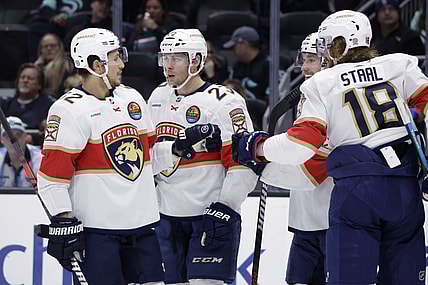 Florida panthers