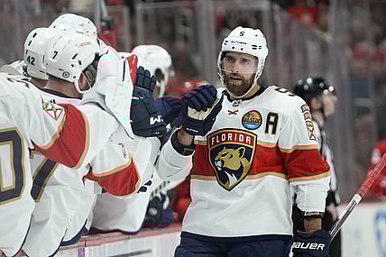 Florida panthers
