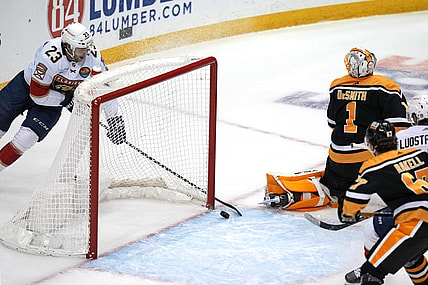 Florida panthers
