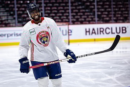 Florida panthers duclair