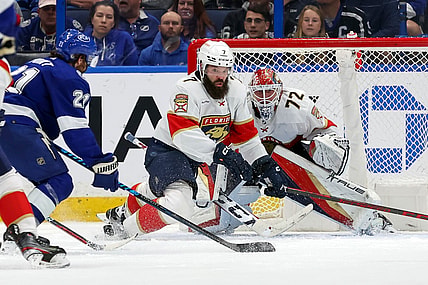 Florida panthers