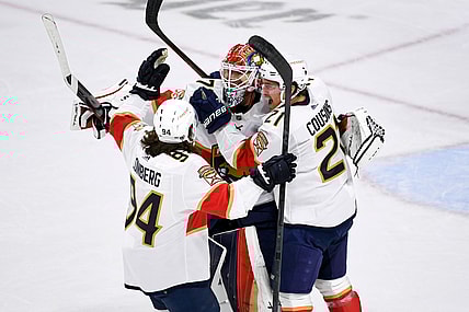 Florida panthers