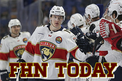 Florida panthers