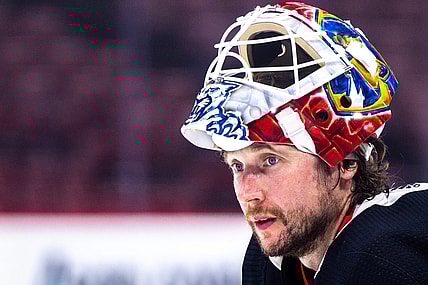 Panthers maple leafs