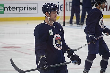 Panthers Predators