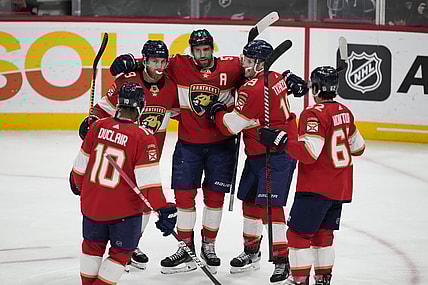 Florida panthers