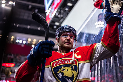 Barkov panthers bruins