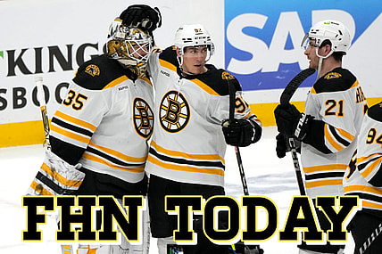 Panthers bruins