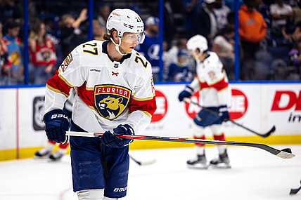 Florida panthers
