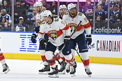 Florida panthers
