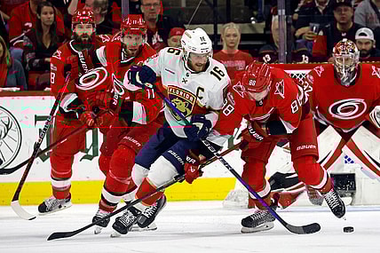 Florida panthers