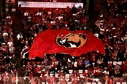 Florida panthers