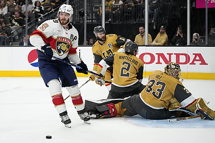 Florida panthers