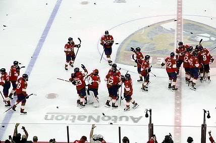 Florida panthers