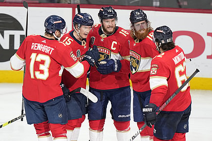 Florida panthers