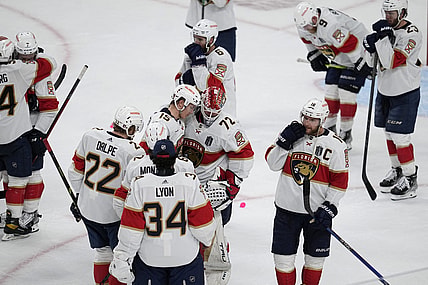 Florida panthers