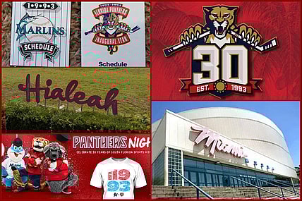 Florida panthers