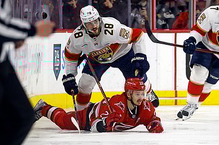Florida panthers