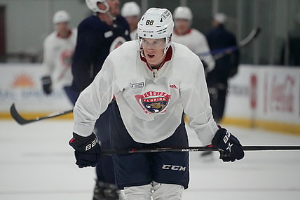 Florida panthers