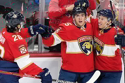Florida panthers