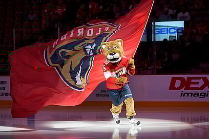 Florida panthers